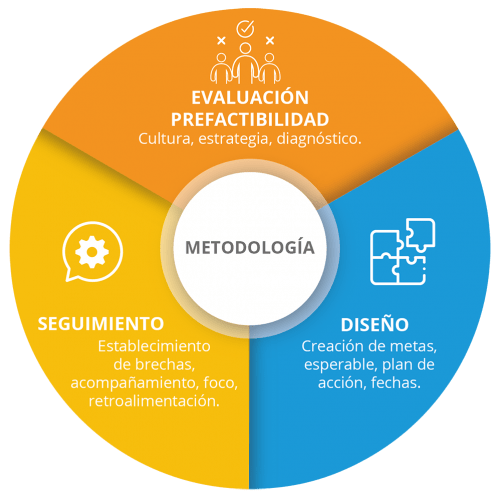 Metodología de asesoría: evaluación y prefactibilidad, diseño y seguimiento